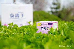 聚米婧氏健康生活日用品 引領(lǐng)日常健康新風尚